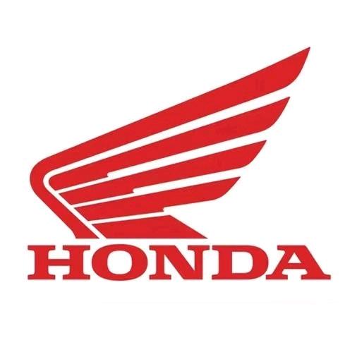 新大洲本田保定豪神店