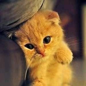 没有迷路的小孩