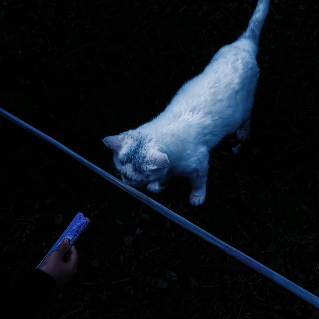 须尽欢（见过于适版）