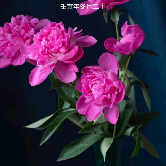 洪林大食堂