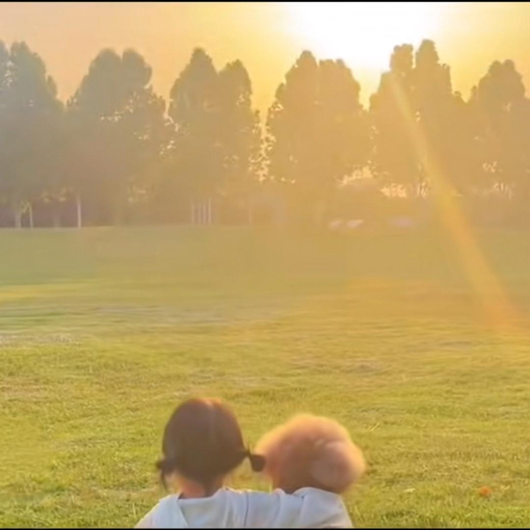 涛哥（三角洲行动）跑刀