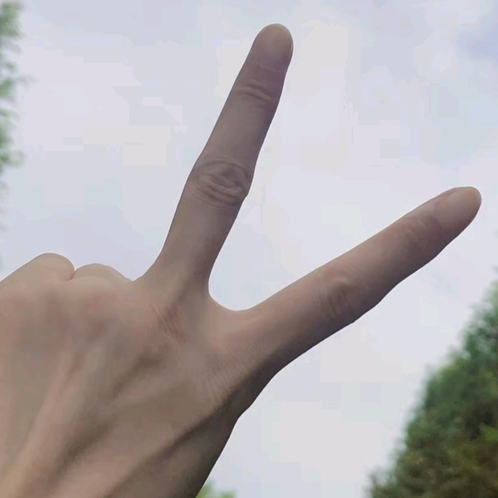 骑着蚂蚁打大象