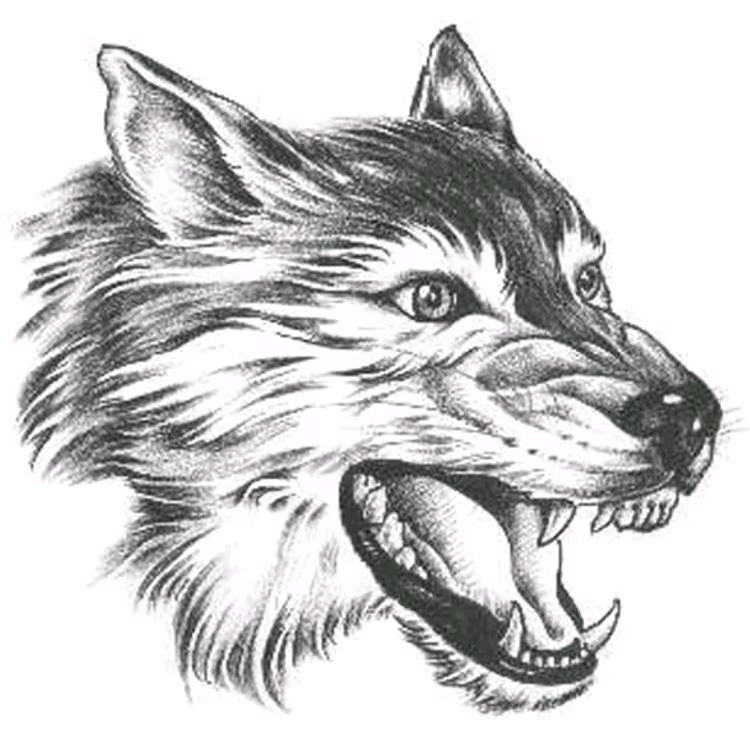 张门保府李门寒