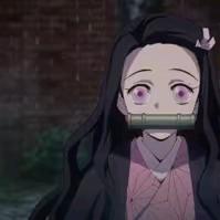 一个动漫爱好者