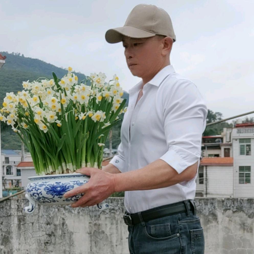 福玲水仙花