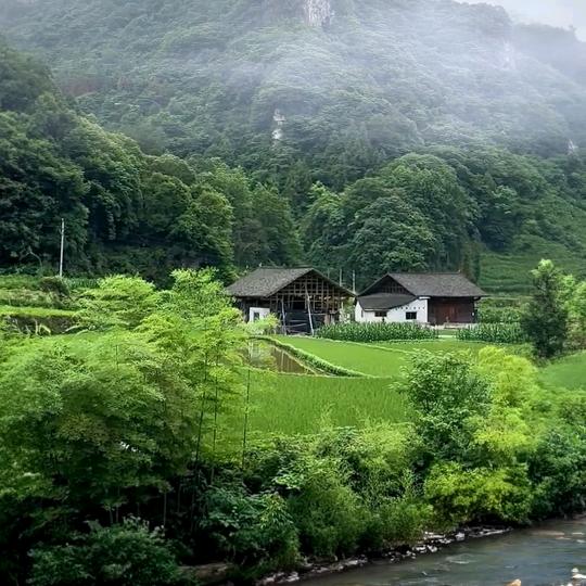 清风哥