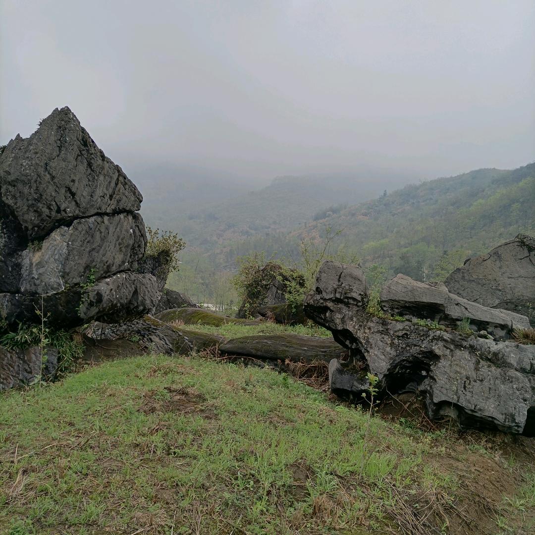 《金》不，换*^_^*