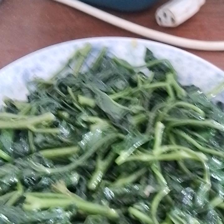1㇏豆豆豆77至