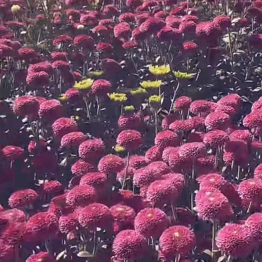 😉😉😄😃爱。伤不起