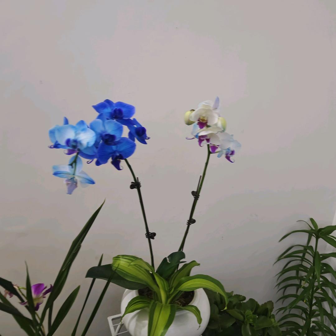 无悔