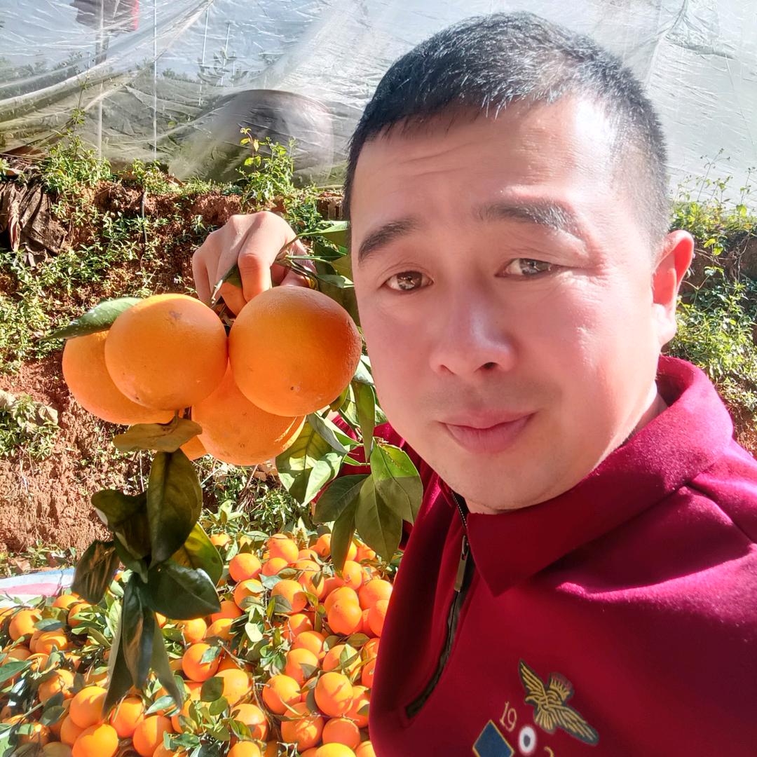 阿良《赣南脐橙自家果园直发》