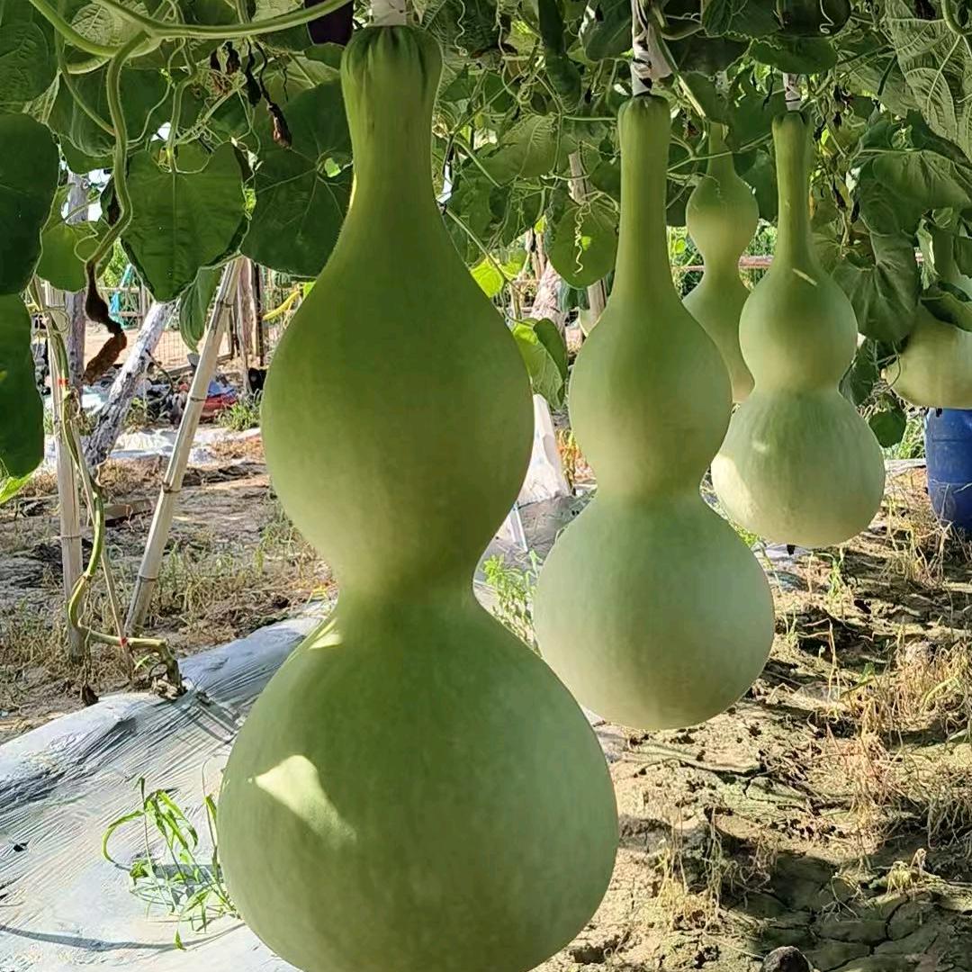 祥瑞文玩工艺品