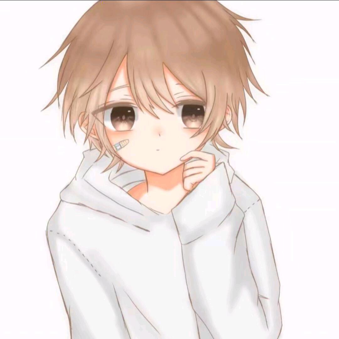 不不不过、