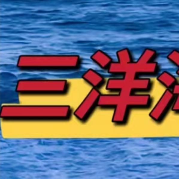 陆丰市甲子镇三洋海味