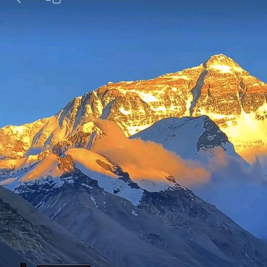 值得信赖赖子军