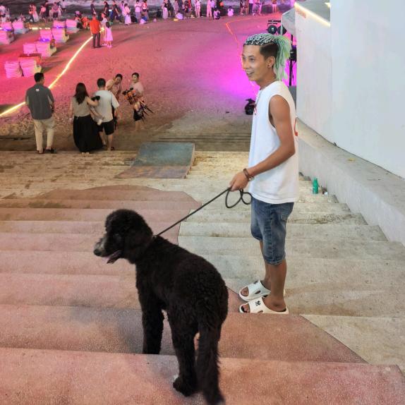 来哥旅游推荐官（三亚）
