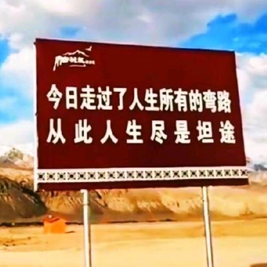 你真我也真，你假我转身