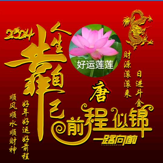 南莲楚简😊