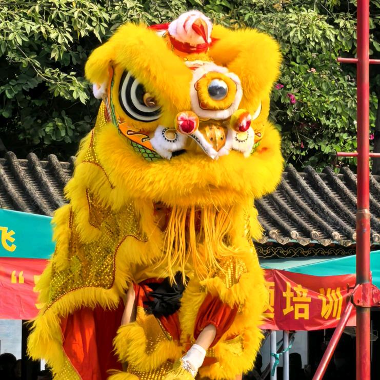 肇庆怀集☆舞狮周仔