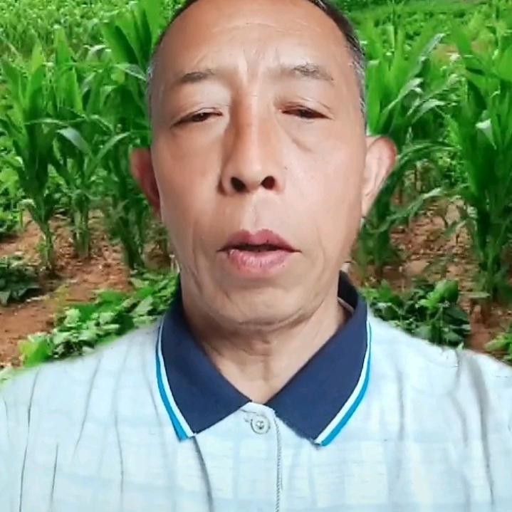 单身，罗哥