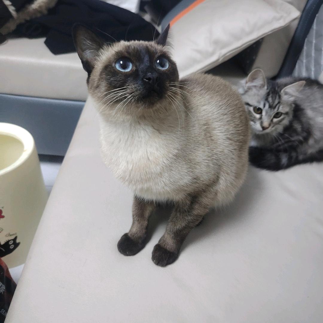 平安。