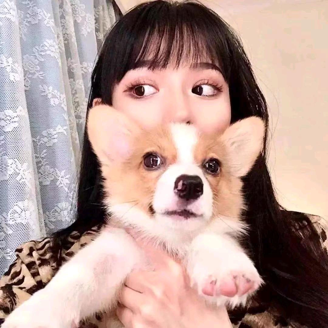 小馋猫吃不胖
