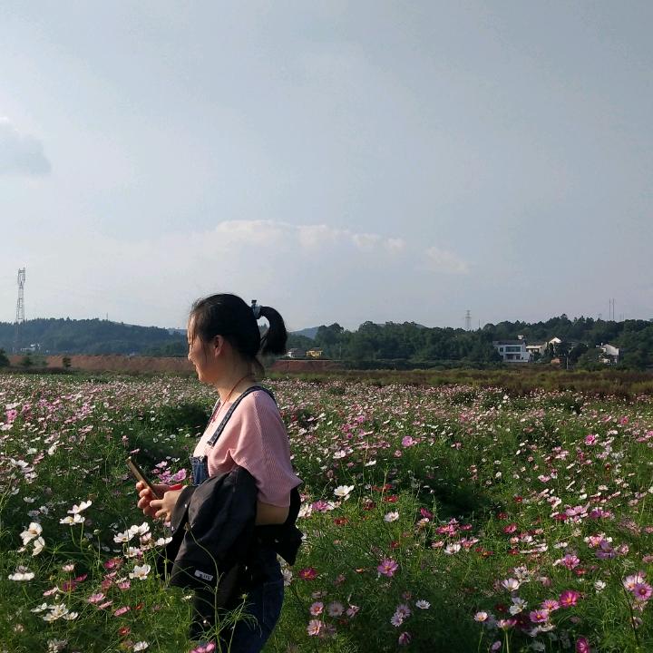 稂春花