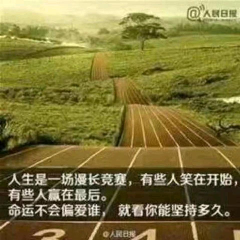 小莫′