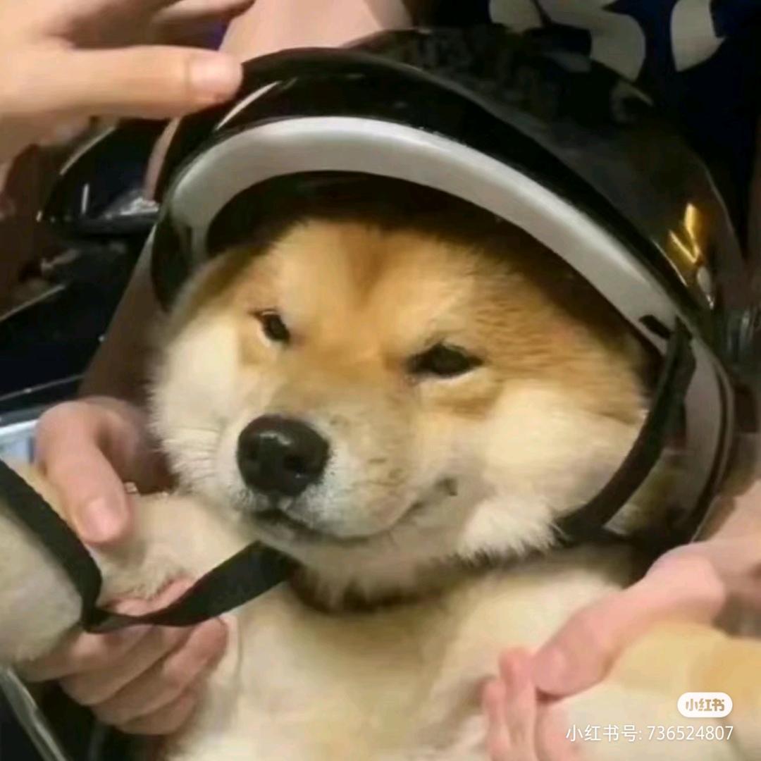 LI.