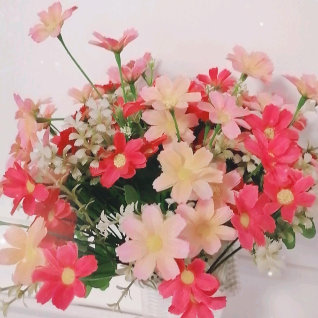 秀英(爱吕剧,爱唱歌)