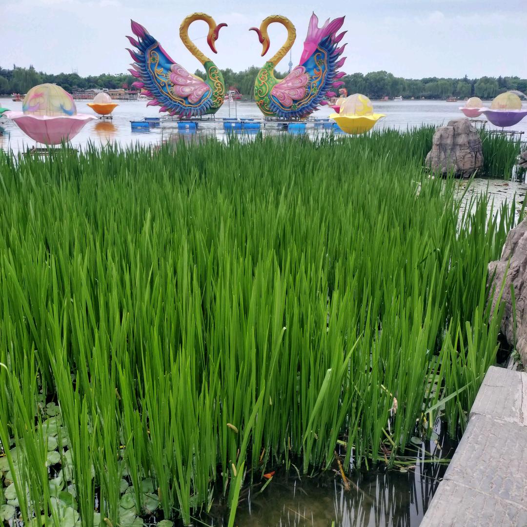 平安(ღ˘⌣˘ღ)喜乐