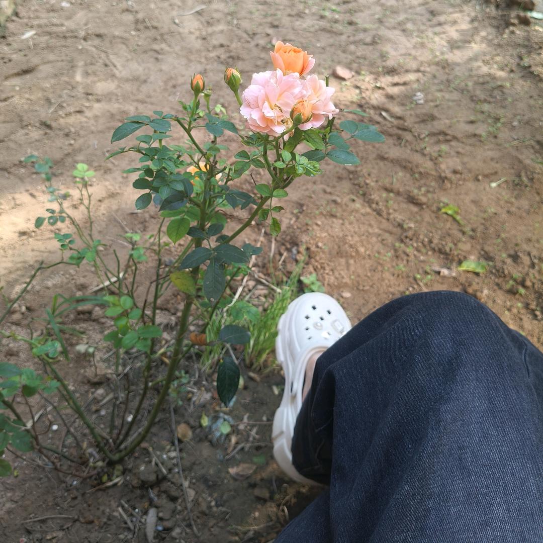 @玉姐