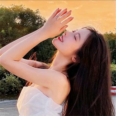 山东鑫丰豆制品设备有限公司