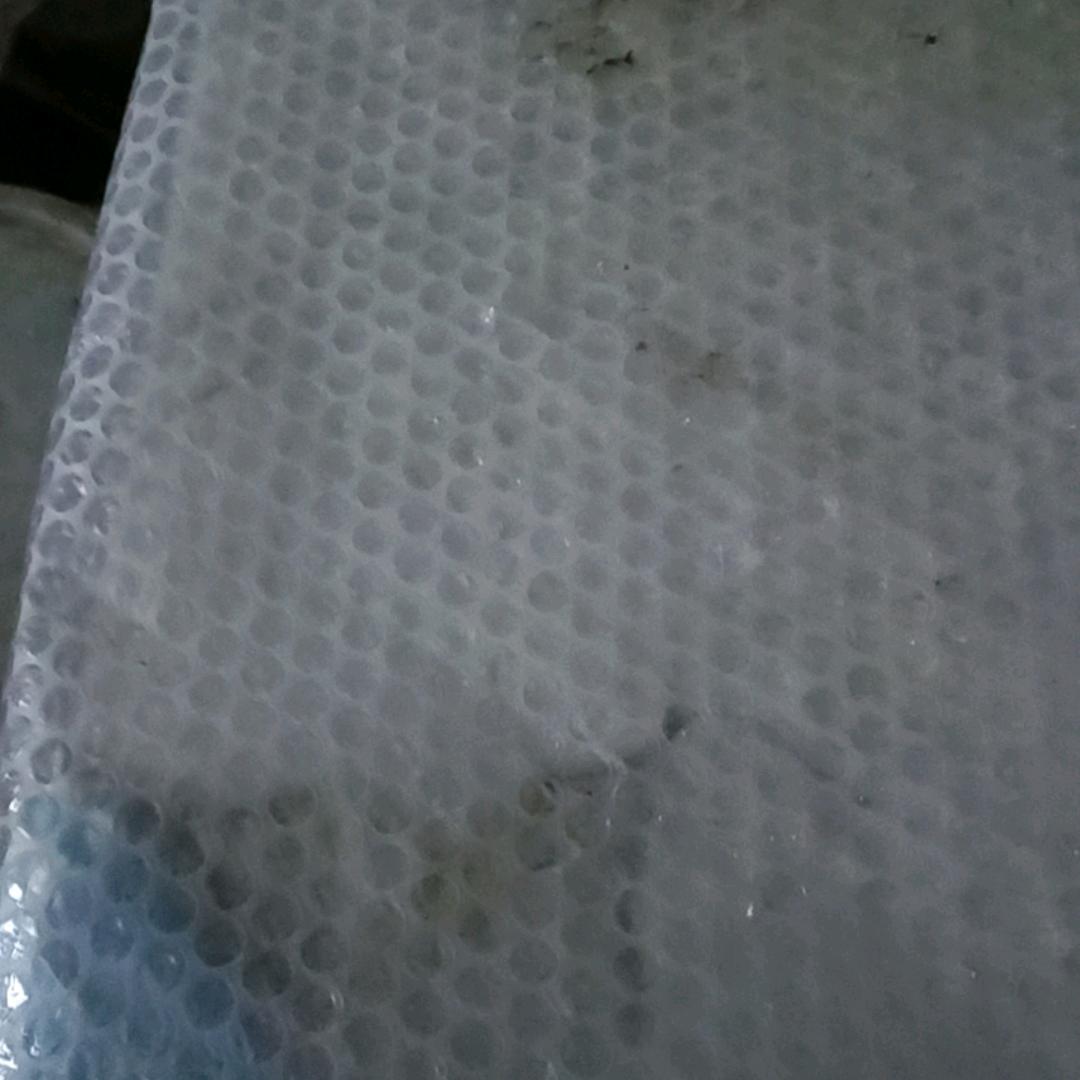 何去何从