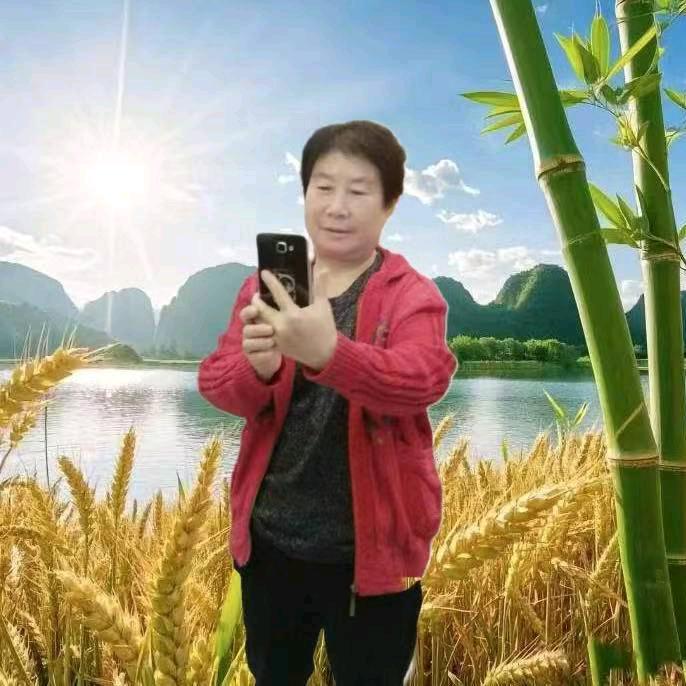 英子牛（下午，15，10分，直播英子牛5