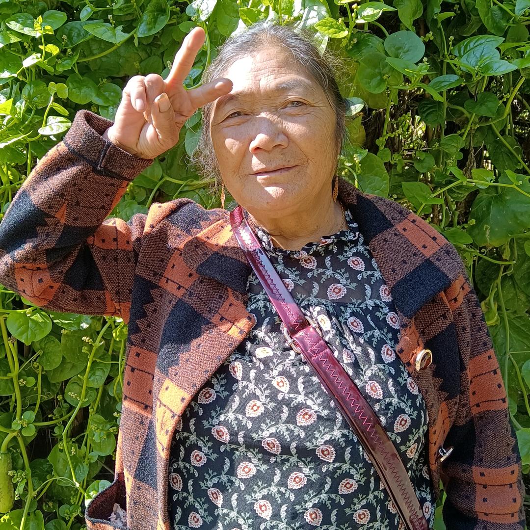 春风十里飘万家