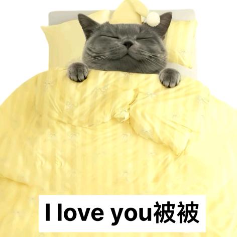 抹茶抹茶