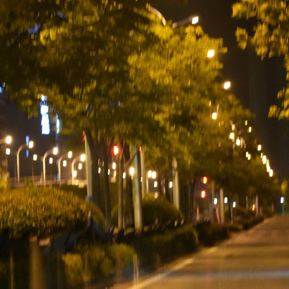 一张照
