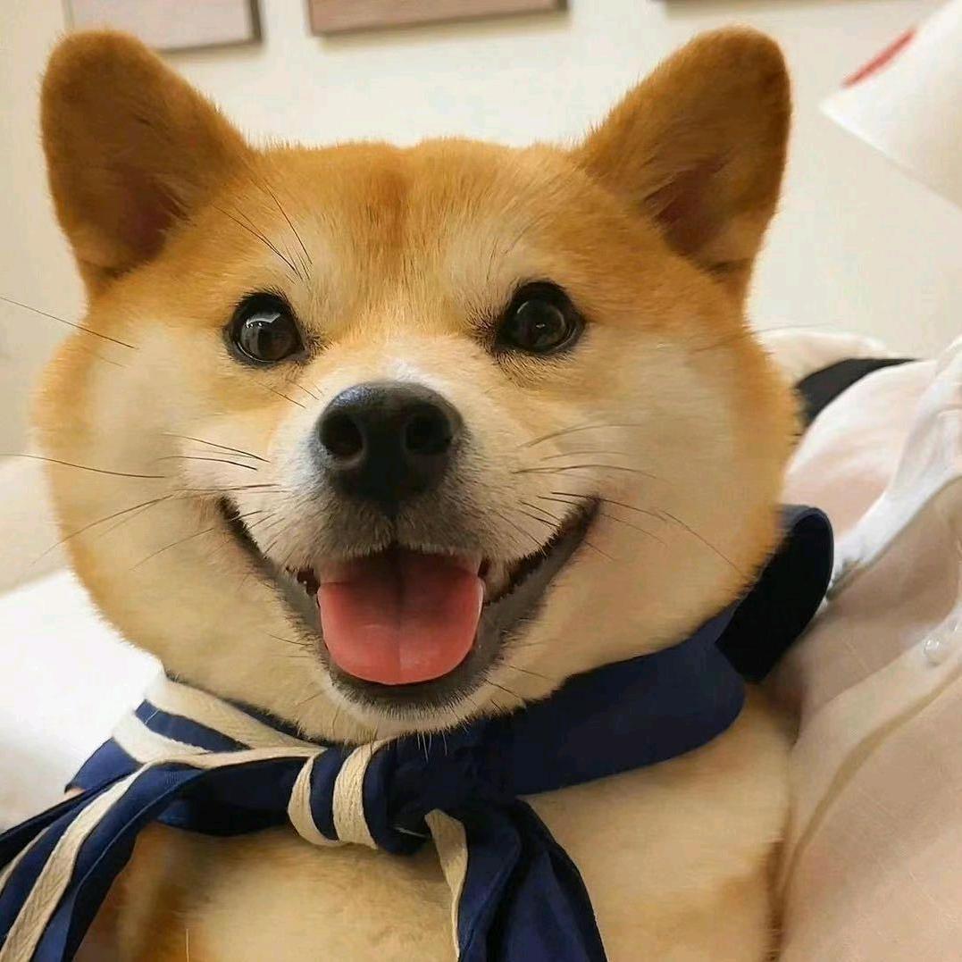 枼