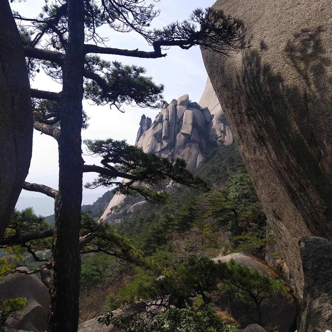 许我向你看_财税合规