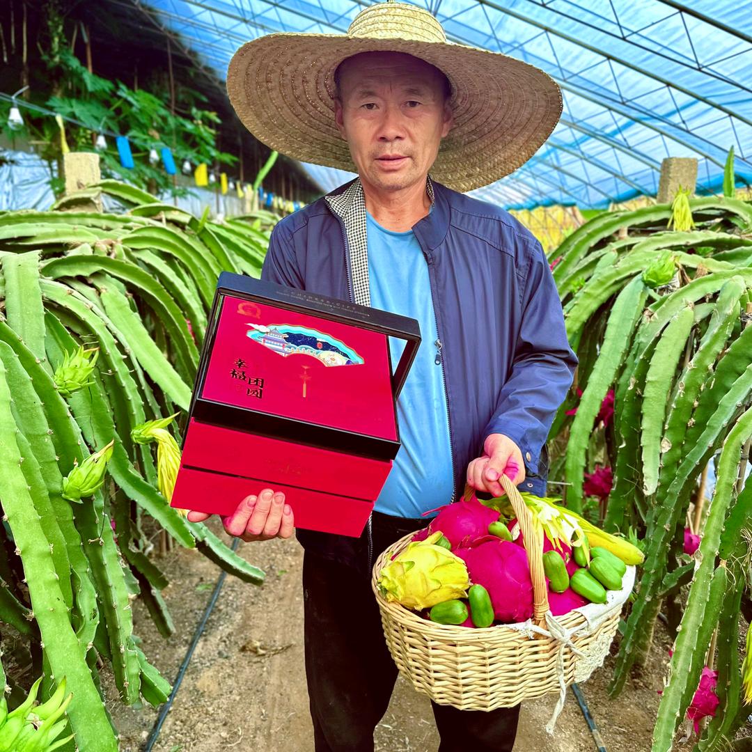 大连老纪红心火龙果采摘园