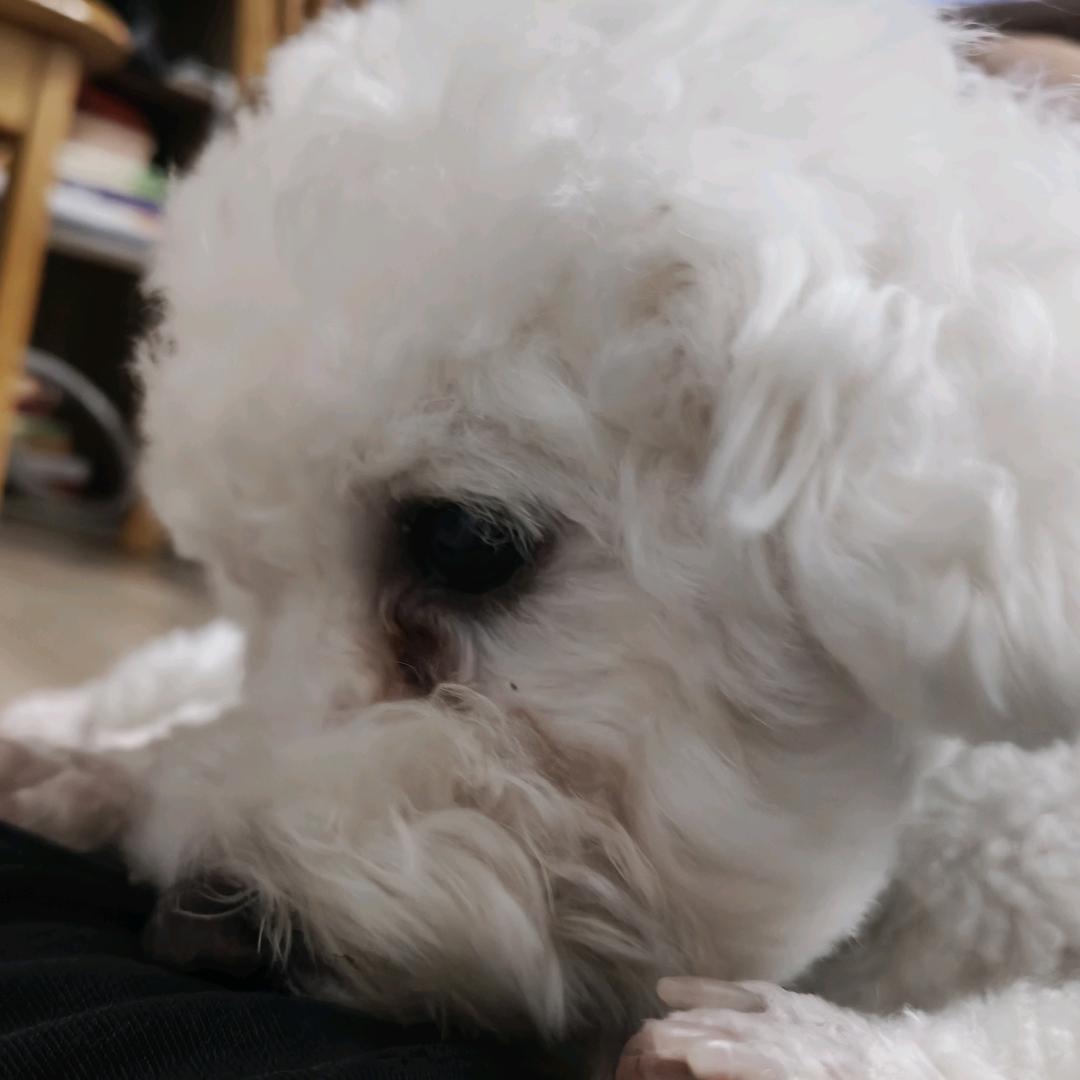 纯子Cz•︡ ‿ •︠ᐝ