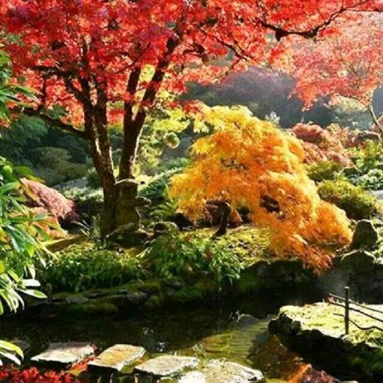 杰哥