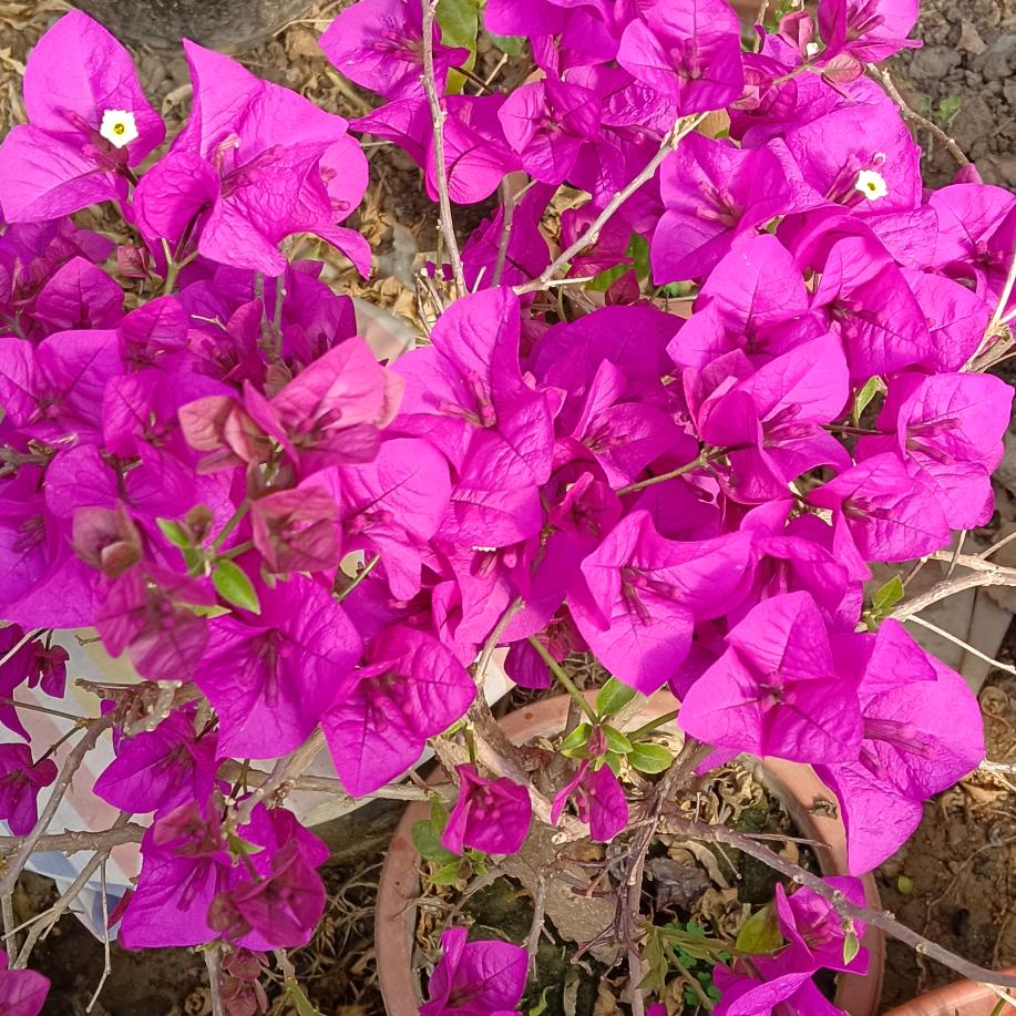 🌷人生旅途💕