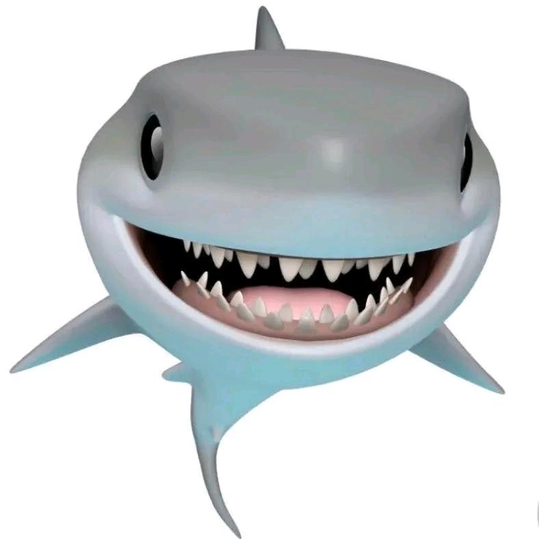 鲨🦈
