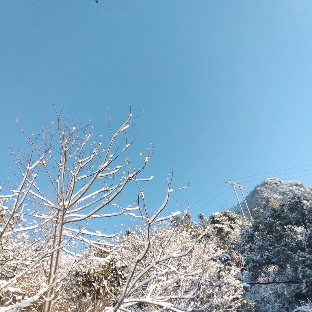 王招秋