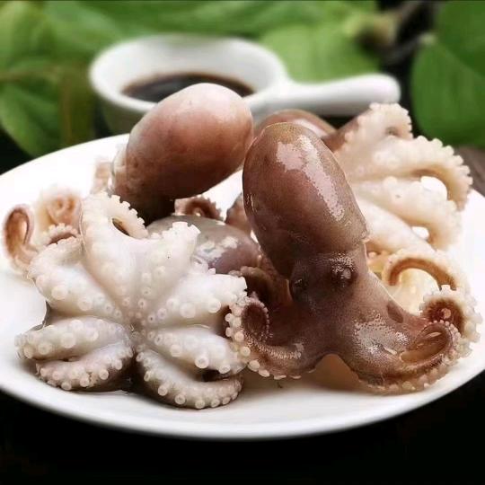 成成水产