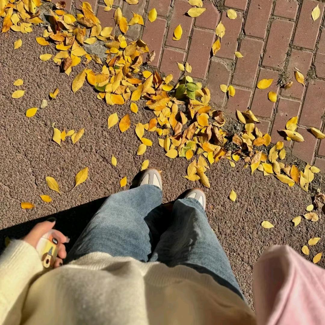 棕熊烙饼