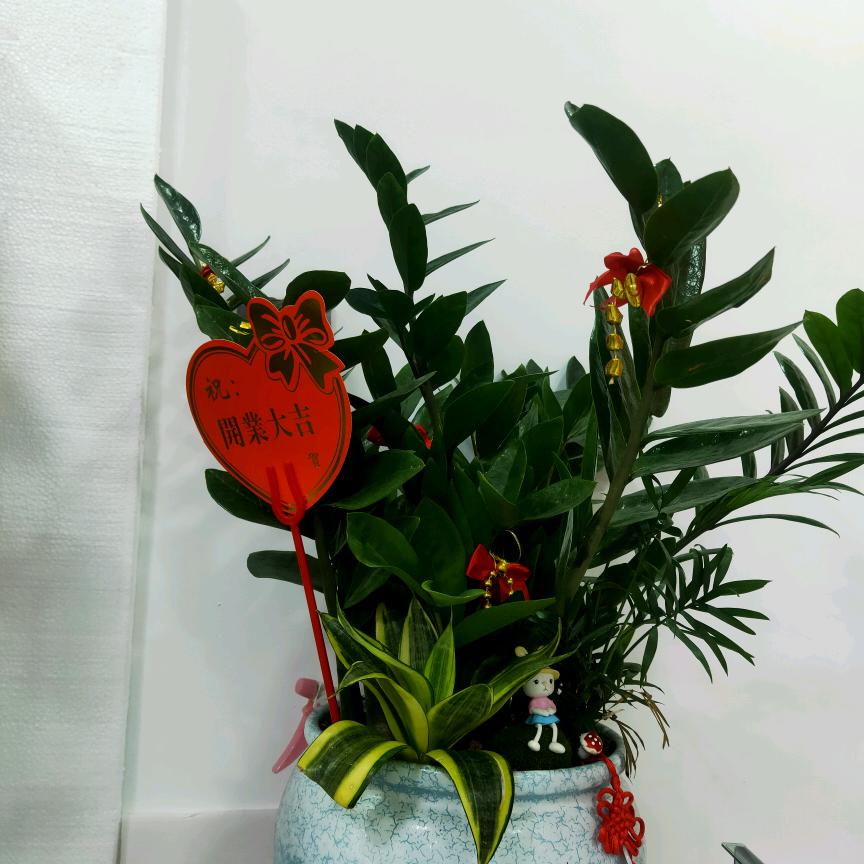 小艾