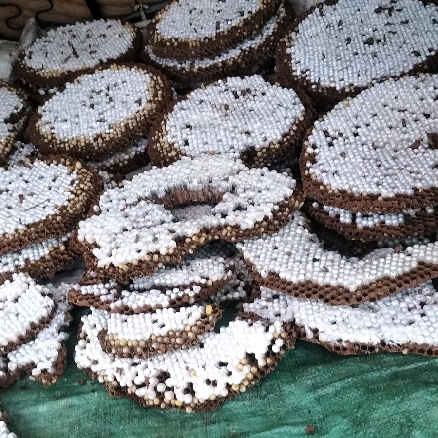 开心过好每一天